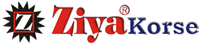 Action - Ziya Korse